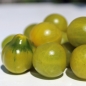 Tomate Grinch (Samen)
