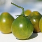 Tomate Grinch (Samen)