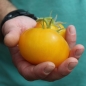 - Kopie - Kopie - Kopie - Kopie - Kopie