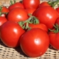 Tomate Heinz 1370 (Samen)
