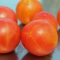 Tomate Isis Candy (Samen)