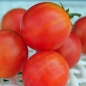 Tomate Isis Candy (Samen)