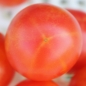 Tomate Isis Candy (Samen)