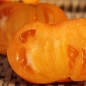Tomate Janet's Jacinthe Jewel (Samen)