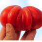 Tomate Japanische Trüffel (Samen)