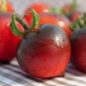 Tomate Jolie Coeur (H34 rot) (Pflanze)