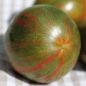 Tomate Kozula 132 (Samen)