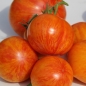 Tomate Lava Flow (Samen)