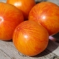 Tomate Lava Flow (Samen)