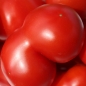 Tomate Manalucie (Samen)