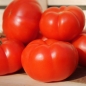 Tomate Marmande (Samen)