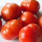 Tomate Marmande (Samen)