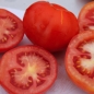Tomate Moskowsky Ultraskorospely (Samen)