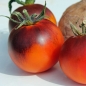 Tomate Orange Bleu  (Samen)