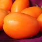 Tomate Orange Icicle (Samen)