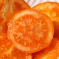Neu! Tomate Queen Orange (Samen)