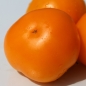 Neu! Tomate Queen Orange (Samen)