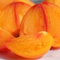 Tomate Orange Russian (Pflanze)