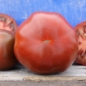 Tomate Oziris (Samen)