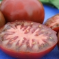 Tomate Oziris (Samen)