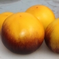 Tomate Pansy Ap (Samen)