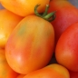Tomate Piedmont (Samen)