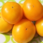 Tomate Piemontesische Riesen (Samen)