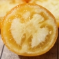 Tomate Piemontesische Riesen (Samen)