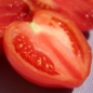 Tomate Pink Oxheart (Samen)
