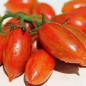 Tomate Pink Tiger  (Samen)