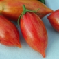 Tomate Pink Tiger  (Samen)