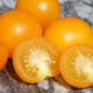 Tomate Potato Leaf Variegated (Samen)