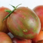 Tomate Purple Bumblebee (Samen)