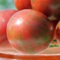 Tomate Purple Bumblebee (Samen)