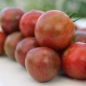 Tomate Purple Bumblebee (Samen)