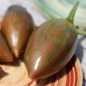 Neu! Tomate Purple Smaragd (Samen)