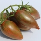 Neu! Tomate Purple Smaragd (Samen)