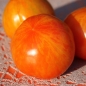 Tomate Red Zebra (Samen)