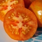 Tomate Red Zebra (Samen)
