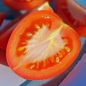 - Kopie - Kopie - Kopie - Kopie