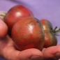 Tomate Russian Cossak (Samen)