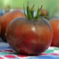 Tomate Russian Cossak (Samen)