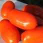 Tomate San Marzano (Samen)