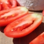 Tomate San Marzano Nano (Samen)