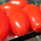 Tomate San Marzano Nano (Samen)