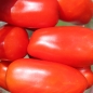 Tomate San Marzano Nano (Samen)