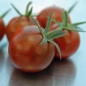 Tomate Schokoladenperle (Samen)