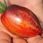 Tomate Shadow Boxing (Samen)