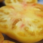 Tomate Shah (Samen)