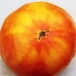 Tomate Skykomish (Samen)